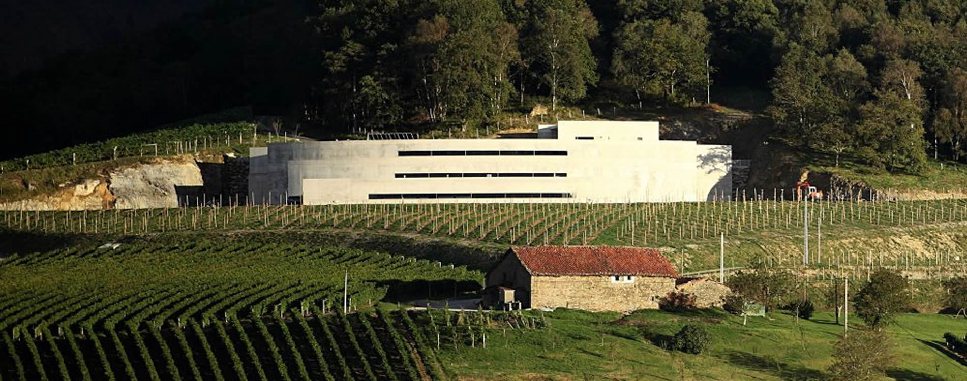 Construcción de bodegas de vinos y licores en Gipuzkoa